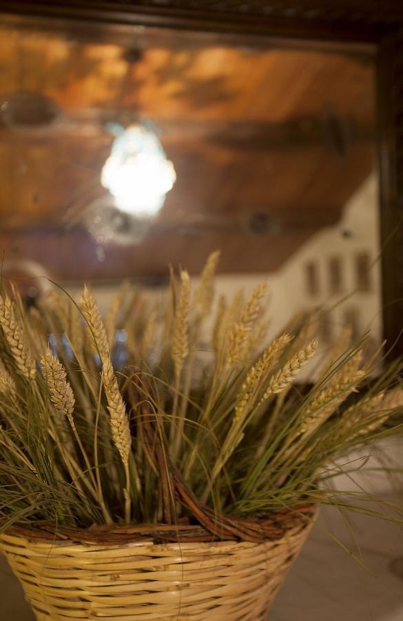 Relais Mastro Cinghiale Bed & Breakfast Paciano Exterior photo
